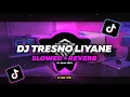 Download Lagu DJ Tresno Liyane Slowed + Reverb Remix Tiktok Terbaru  2023