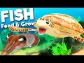 Download Lagu GIANT SEA TURTLE VS NEW CUTTLEFISH! | Feed And Grow Fish SURVIVAL Gameplay