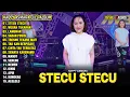 Download Lagu Stecu Stecu - Happy Asmara Full Album Terbaru 2025 Lagu Jawa Dangdut Koplo Trending Hits