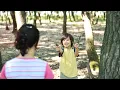 Photosynthesis