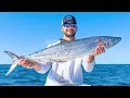 How to Catch Kingfish on Live Bait