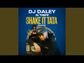 Lagu Shake It Tata