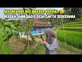 Lagu BERDUA BERSAMA GADIS DESA 😍 DI PEDESAAN INDAH JAWA BARAT