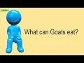 What Can Goats Eat
