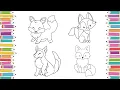 How to Color Fox Fox Coloring Pages For Kids