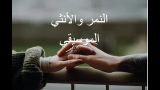 موسيقي النمر والأنثي   عادل إمام و أثار الحكيم  عادل امام  اثار الحكيم دندنها