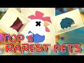 Ajpw Top 5 RAREST Pets 2021 Ajpw Worth Guide Ft Exotic Pet DNA Vials Animal Jam Play Wild