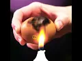 These Science Tricks Will Blow Your Mind