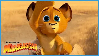 Alex s Cutest Moments DreamWorks Madagascar