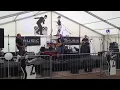 You Can't Do That by The Bionic Rats at Booleigh 2013