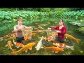 Download Lagu Harvesting 100 Big Carp Fish, Use 3-Wheeled Truck to Transport Many Carp Fish Go to Market Sell