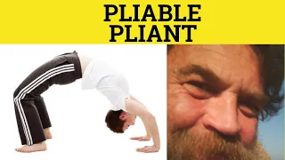 Pliable Meaning - Pliant Examples