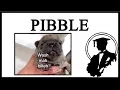 Pibble Wants Its Belly Washed