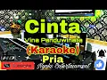 Download Lagu CINTA - Vina Panduwinata (KARAOKE) Nada Pria || Em=DO