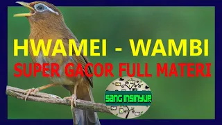 Download HWAMEI WAMBI SUPER GACOR FULL MATERI MP3