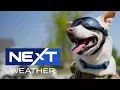 Sidecar Scout and Meteorologist Zack Green