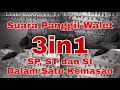 VIRAL !!! 3in1 SP,SI,ST dalam satu kemasan bikin walet rajin selingkuh
