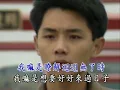 葉啟田 - 浪子的心情