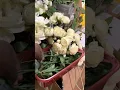 How to make Alibaba Centerpiece part 1