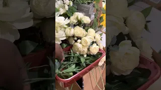 How to make Alibaba Centerpiece part 1