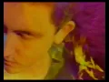 The Telescopes - Precious Little