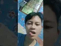 Download Lagu lgg papale pale huhhyy