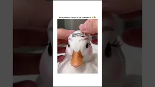 بطايه ف العبايه              اكسبلور          دويتو  لايك  تيك توك  اشتراك  ترند  حالات واتس دندنها