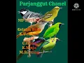 Download Lagu Suara sirtu,C.ranting,C.Kuning,K.tembak,K.ninja,Gelatik batu Pasti dijamin dapat