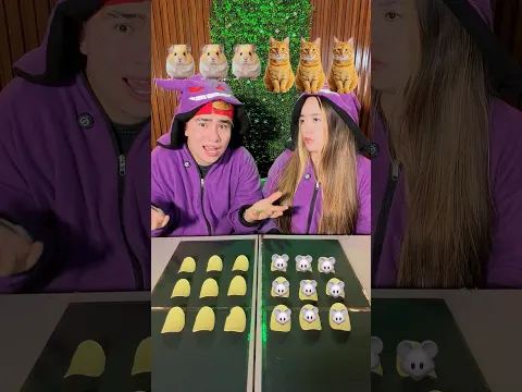 HÁMSTER O GATO 🐹💔🐱 CUÁL ES MEJOR
