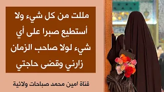 مليت وتعبت لولا صاحب الزمان زارني وكشف همي وقضى حاجتي      دندنها