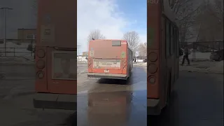       دندنها