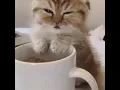 Sleepy 3 GIF
