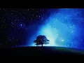 Beethoven Moonlight Sonata - Piano Sonata No. 14 - 2 Hours Version