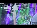Bandelero - Slightly Stoopid Live at Marymoor Park in Redmond, Washington 7/25/2025