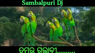 rio bird dance tumar gulapi ke sambalpuri dj song