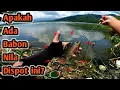 Lagu KEDALAMAN 3 JENGKAL IKAN NETER MEDIA UMPAN LUMUT || mancing ikan nila diwaduk ngantang