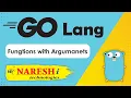 Functions with Arguments and No Return Values in Go Programming Tutorial Naresh IT