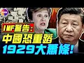 Lagu IMF總裁求中國年輕人：花錢救國！中共逆天貿易順差藏大雷，恐引爆1929年世界經濟大蕭條！#真飛 #真觀點