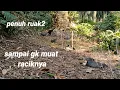 Download Lagu salah satu tempat terbaik untuk mikat ruak ruak, sampai GK muat racik nya penuh ruak2
