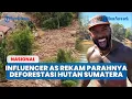 Lagu Influencer AS Bagikan Rekaman Parahnya Deforestasi Hutan Sumatera dari Atas Pesawat