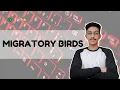 migratory birds HackerrankOfficial c solution