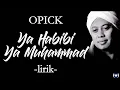 Download Lagu Opick - Ya Habibi Ya Muhammad Lirik - Ya Habibi Ya Muhammad - Opick Lyrics