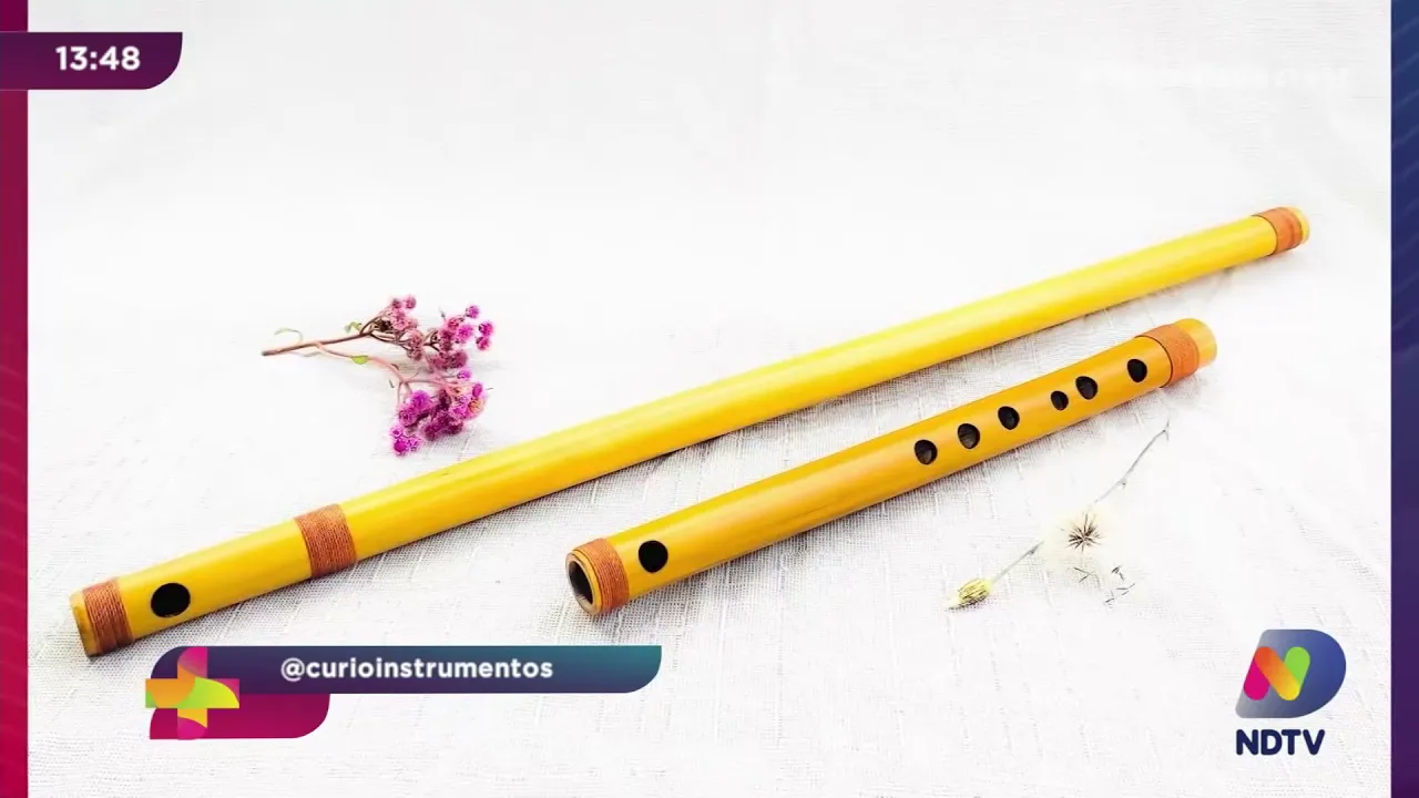 Oficina Curiosidades Musicais: aprenda a construir seu próprio instrumento