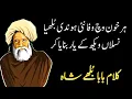 Download Lagu Baba Bulleh Shah Famous Kalam |Har Khoon Vich Wafa Nai Hondi Bhulliya|Punjabi Shayari| Sufiana Kalam