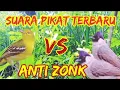 Download Lagu suara pikat burung cipoh dan kutilang  paling ampuh