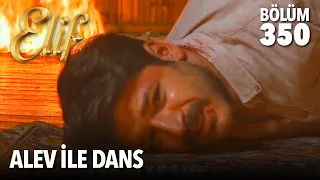 selim in durumu hi iyi de il elif 350 b l m