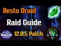 Resto Druid Raid Guide 12 0 5 Update