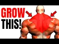 Download Lagu 6 Exercises To Grow Your TRAPS💪| Massive Traps Workout