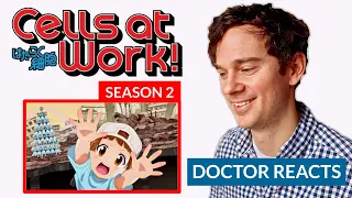 real doctor reacts to cells at work season 2 episode 1 