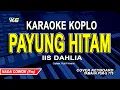 Download Lagu Payung Hitam - Iis Dahlia ||  Karaoke Koplo || Nada Rendah Cowok / Pria
